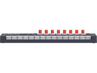 Novation FLkey 2 Mini 25 Novation FLkey 2 Mini 25